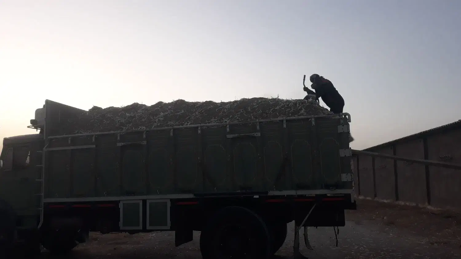 کود مرغ گوشتی و تخمگذار|خدمات باغبانی و درختکاری|مشهد, توس فردوسی|دیوار