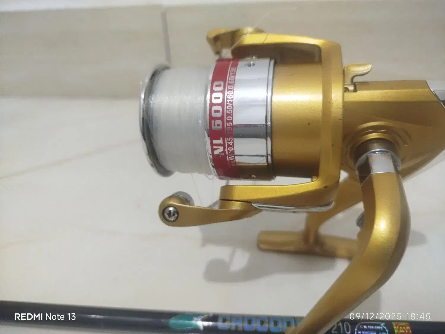 چوب ماهیگیری|ماهیگیری|بندرعباس, |دیوار