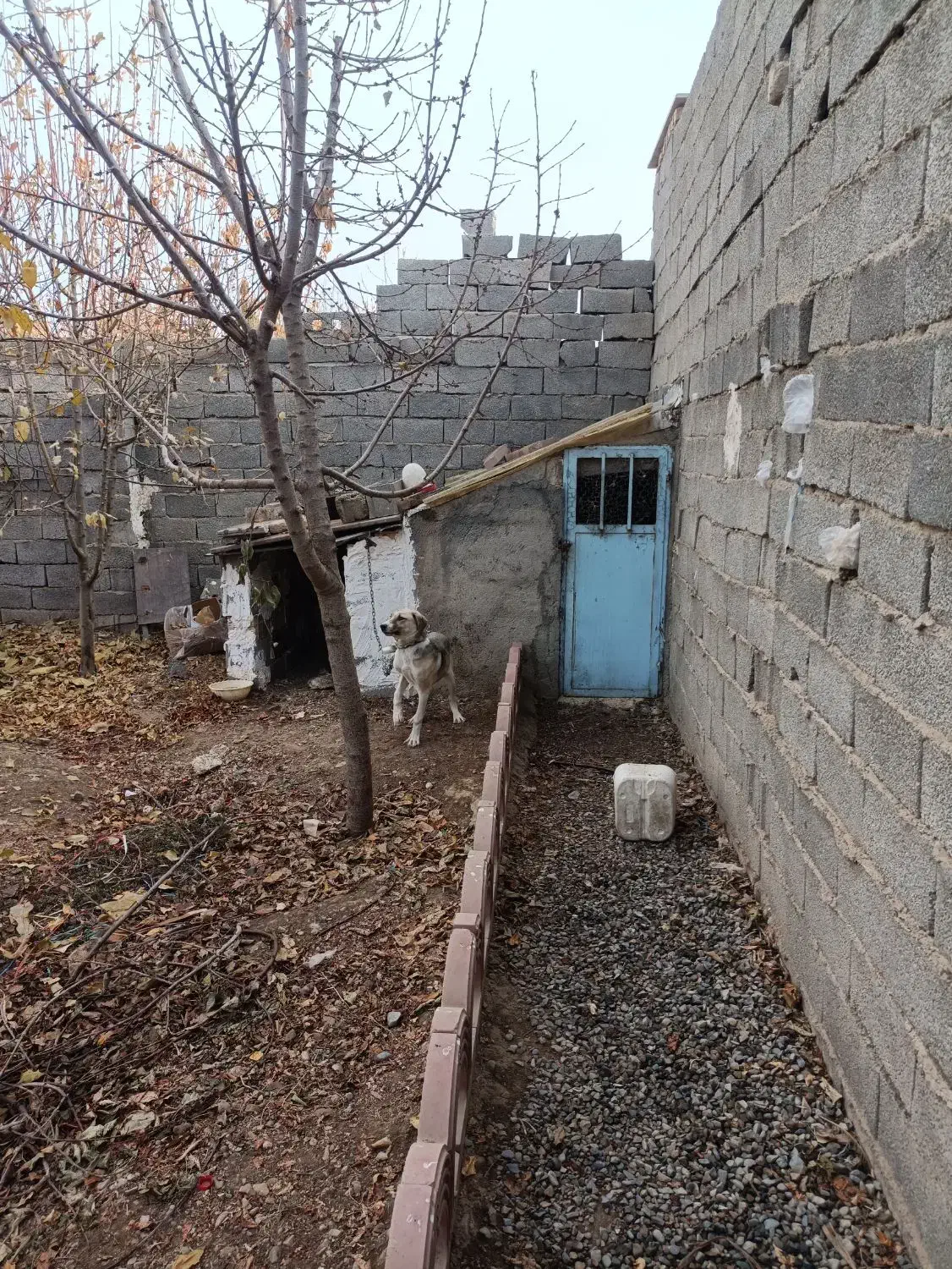 زمین ،باغچه،باغ چهار دیواری ۵۰۰ متری|فروش زمین و ملک کلنگی|چهارباغ, |دیوار