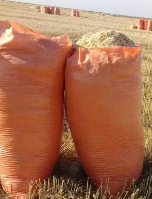 کاه گندم|لوازم جانبی حیوانات|بهار, |دیوار