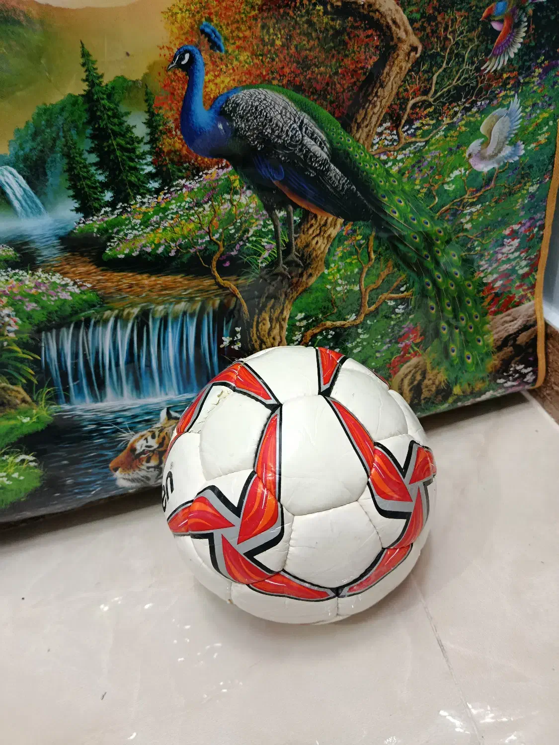 توپ Molten چهل‌تیکه|ورزش‌های توپی|بابل, |دیوار