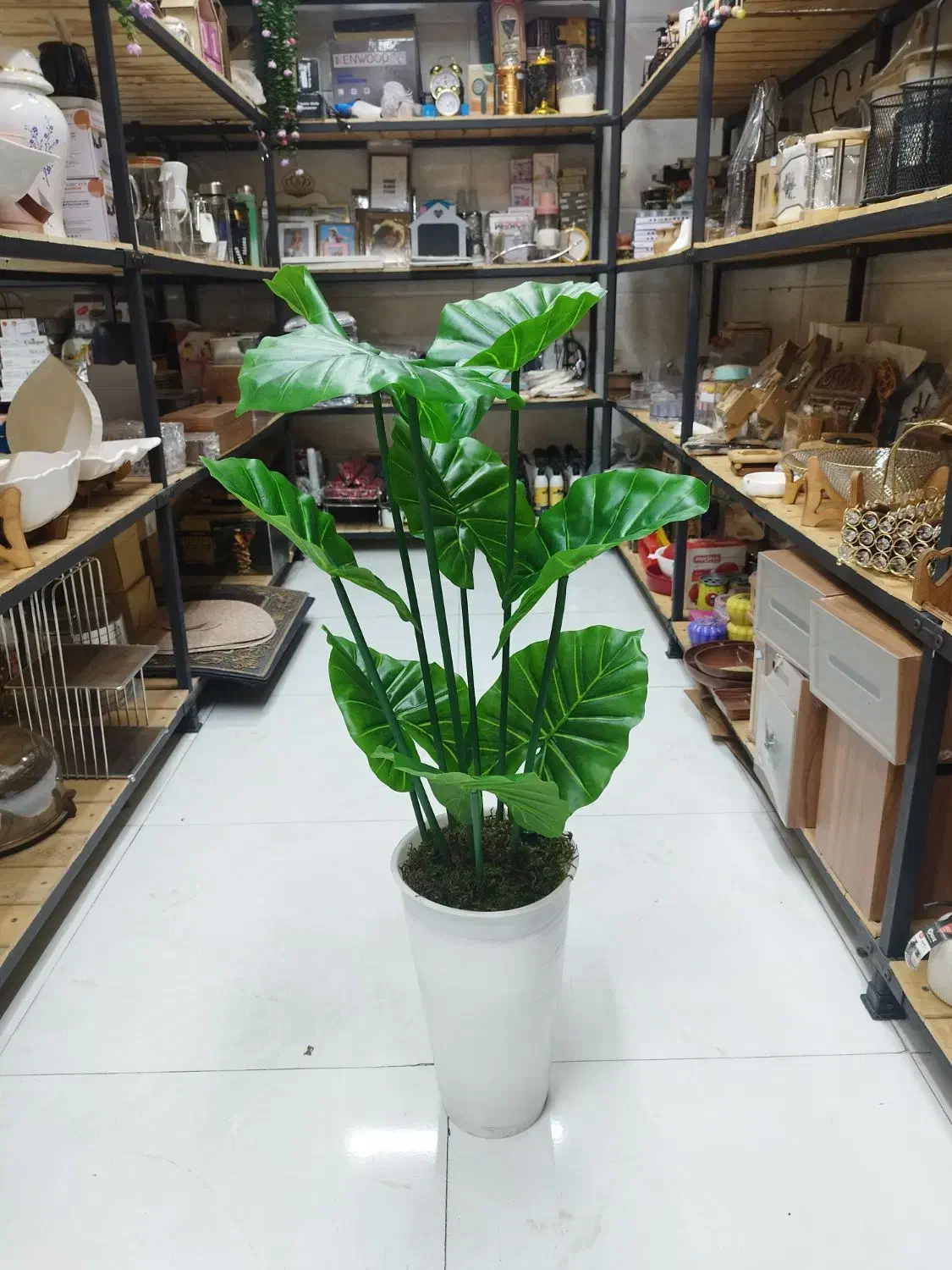 گلدان کنار سالنی|صنایع دستی و سایر لوازم تزئینی|قم, نیروگاه|دیوار