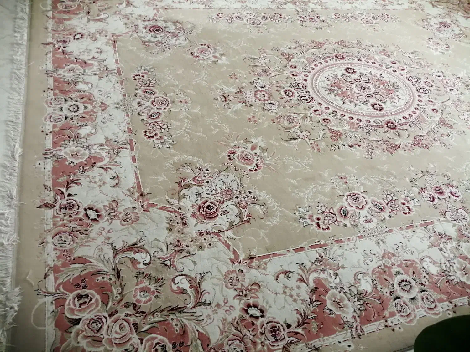 فرش ۱۲ متری مشهد.فرش کودک|فرش|مشهد, الهیه|دیوار