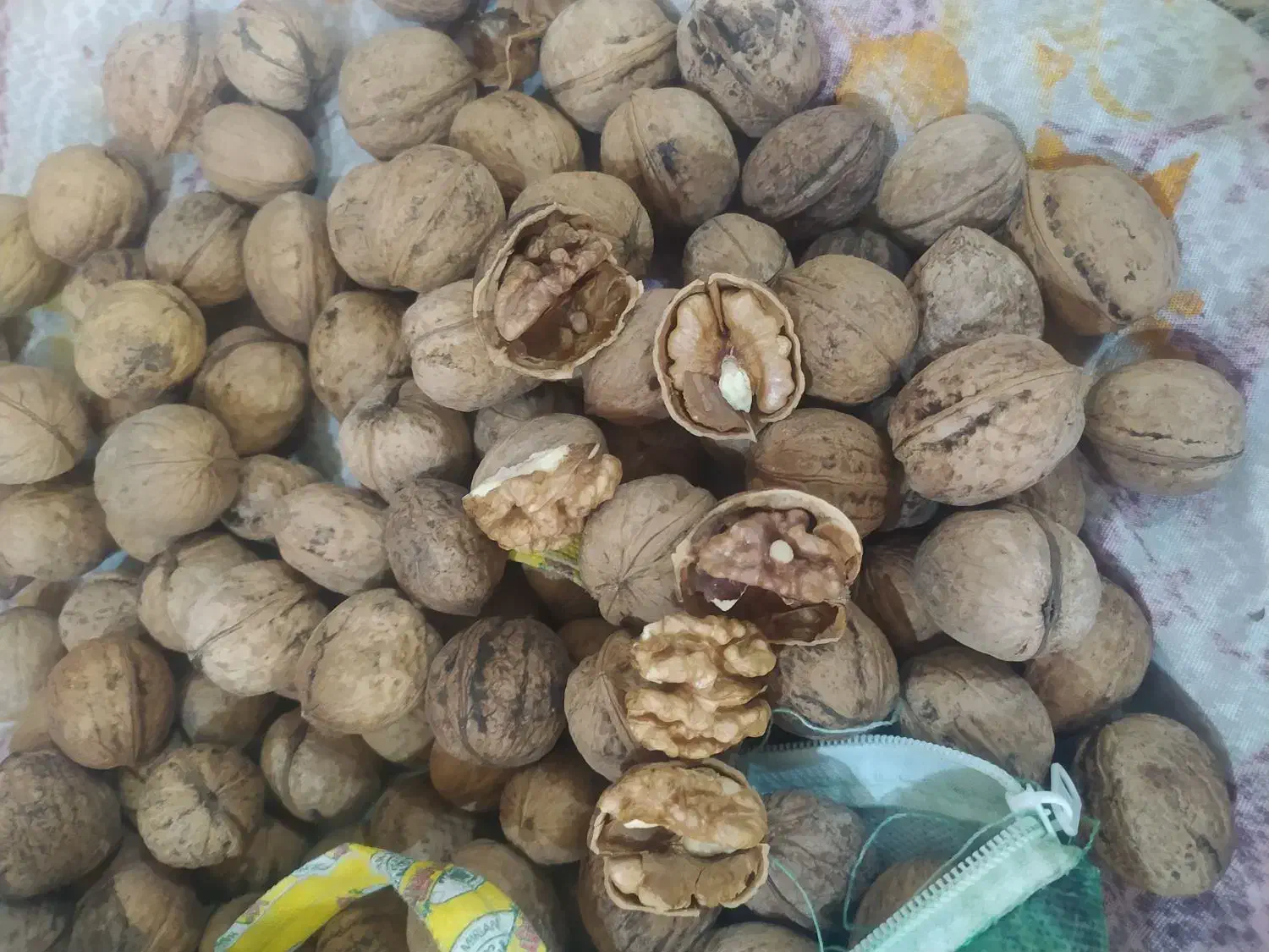 گردو|خوردنی و آشامیدنی|نالوس, |دیوار