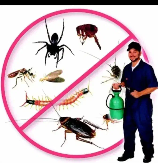 سمپاشی صداقت را با اطمینان انتخاب کنید سم پاشی|خدمات نظافت|چابهار, |دیوار