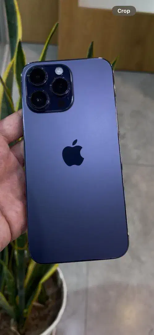 14 پرومکس 256 zaa رجیستر شده در حد اکبند|موبایل|دزفول, |دیوار