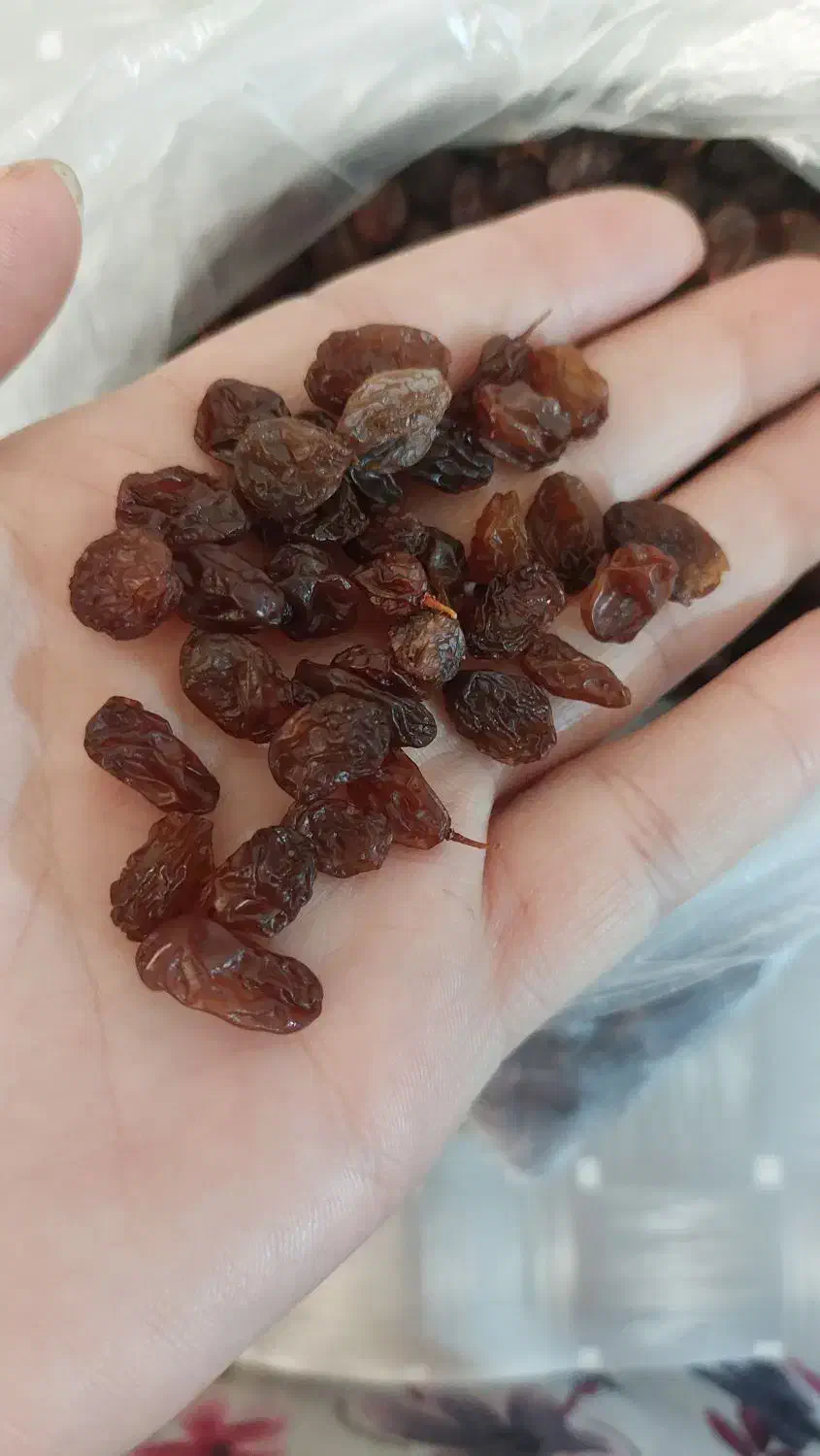 کشمشدرجهیک|خوردنی و آشامیدنی|ماهدشت, |دیوار