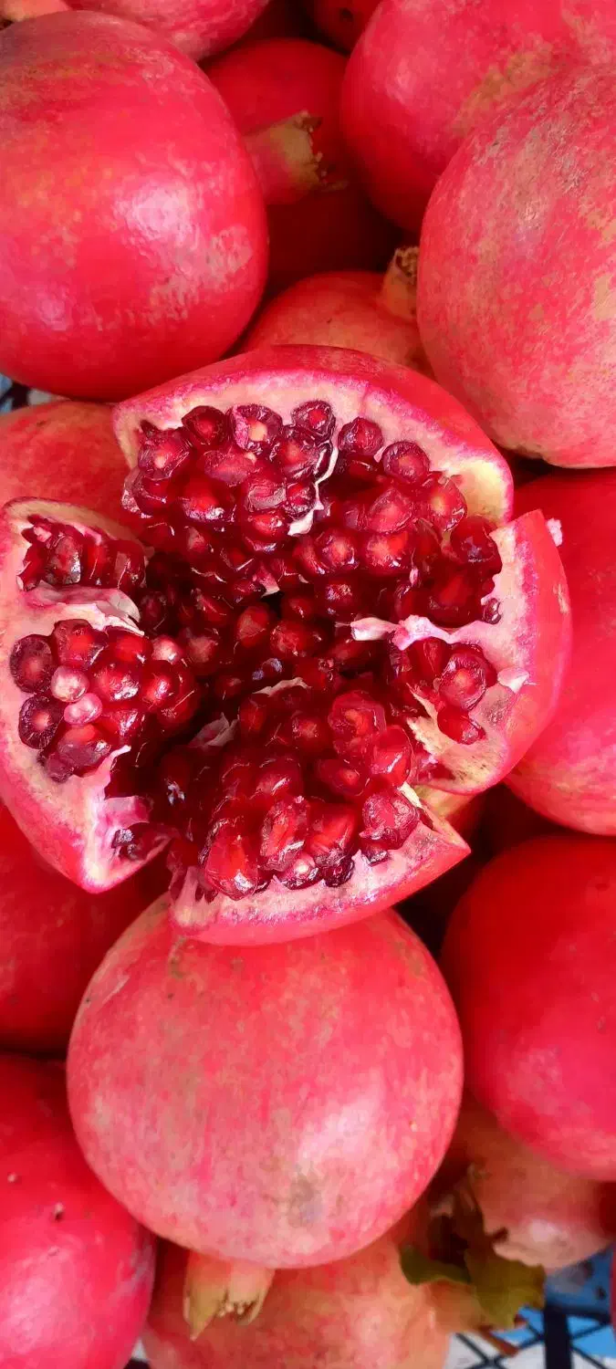 فروش 50 تن انار مخصوص پاکستان و عراق|عمده‌فروشی|استهبان, |دیوار