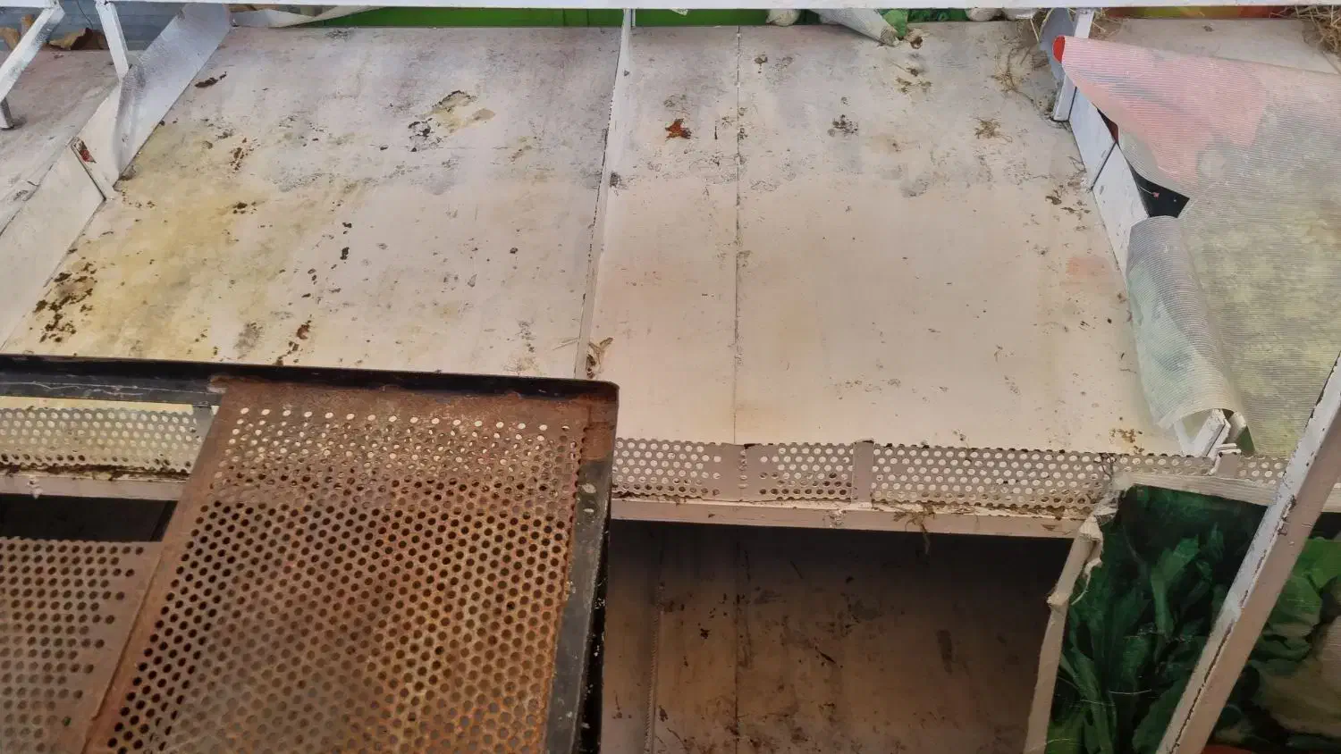 دکور میوه فروشی|فروشگاه و مغازه|شیراز, گویم|دیوار