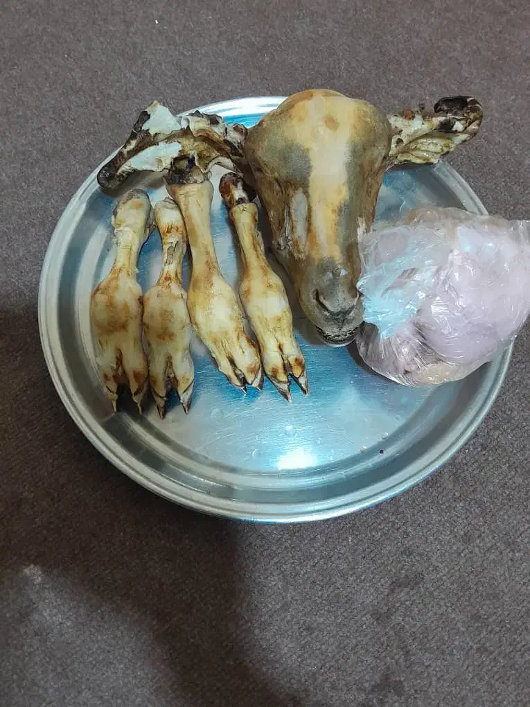 کله پاچه بره|خوردنی و آشامیدنی|مسجد سلیمان, |دیوار