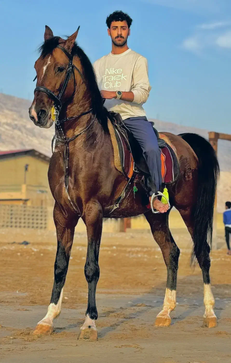 اسب|اسب و تجهیزات اسبسواری|سیاخ دارنگون, |دیوار