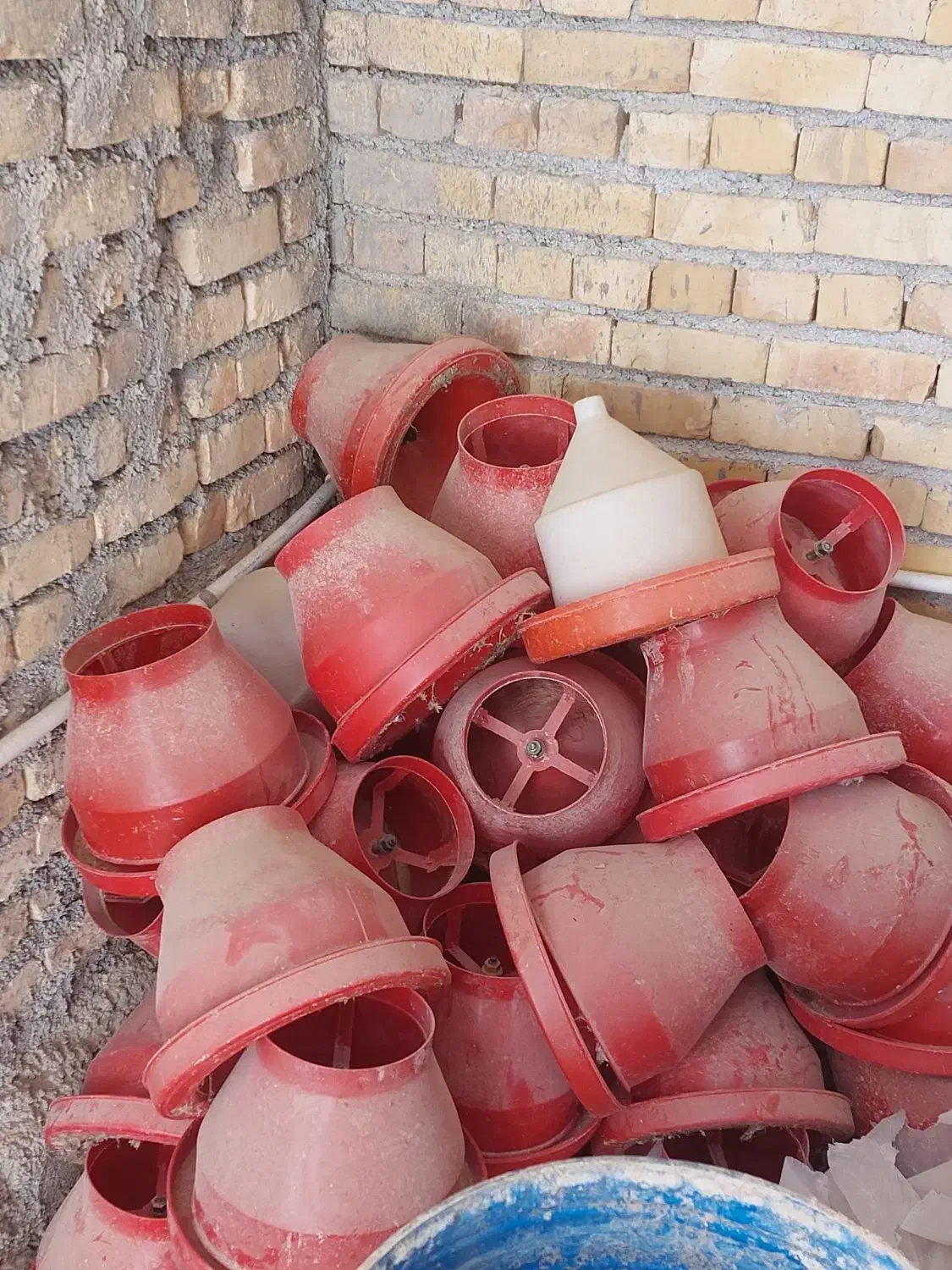 لوازم بلدرچین|لوازم جانبی حیوانات|چادگان, |دیوار