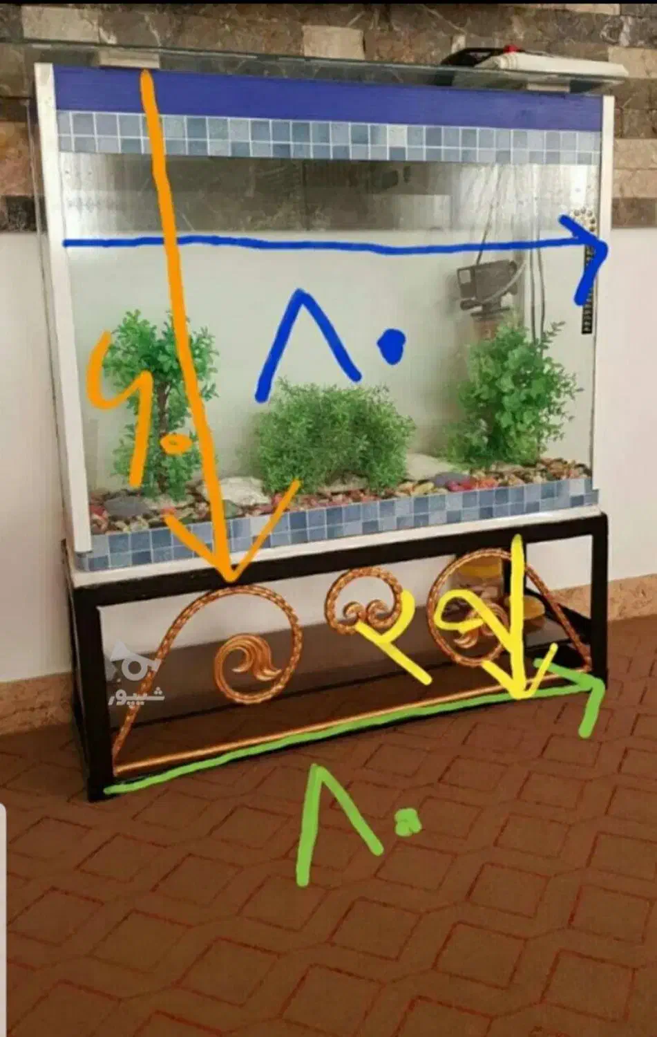 آکواریوم سالم|ماهی|ساری, |دیوار