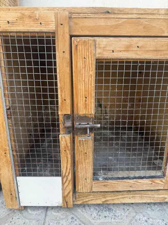 گنجه کفتری|لوازم جانبی حیوانات|شیراز, شیخ علی چوپان|دیوار