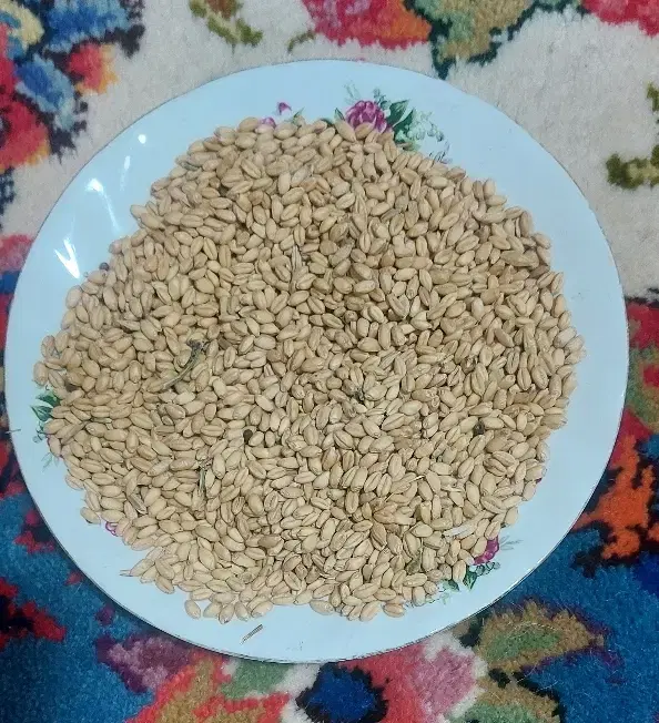 گندم|خوردنی و آشامیدنی|اهر, |دیوار