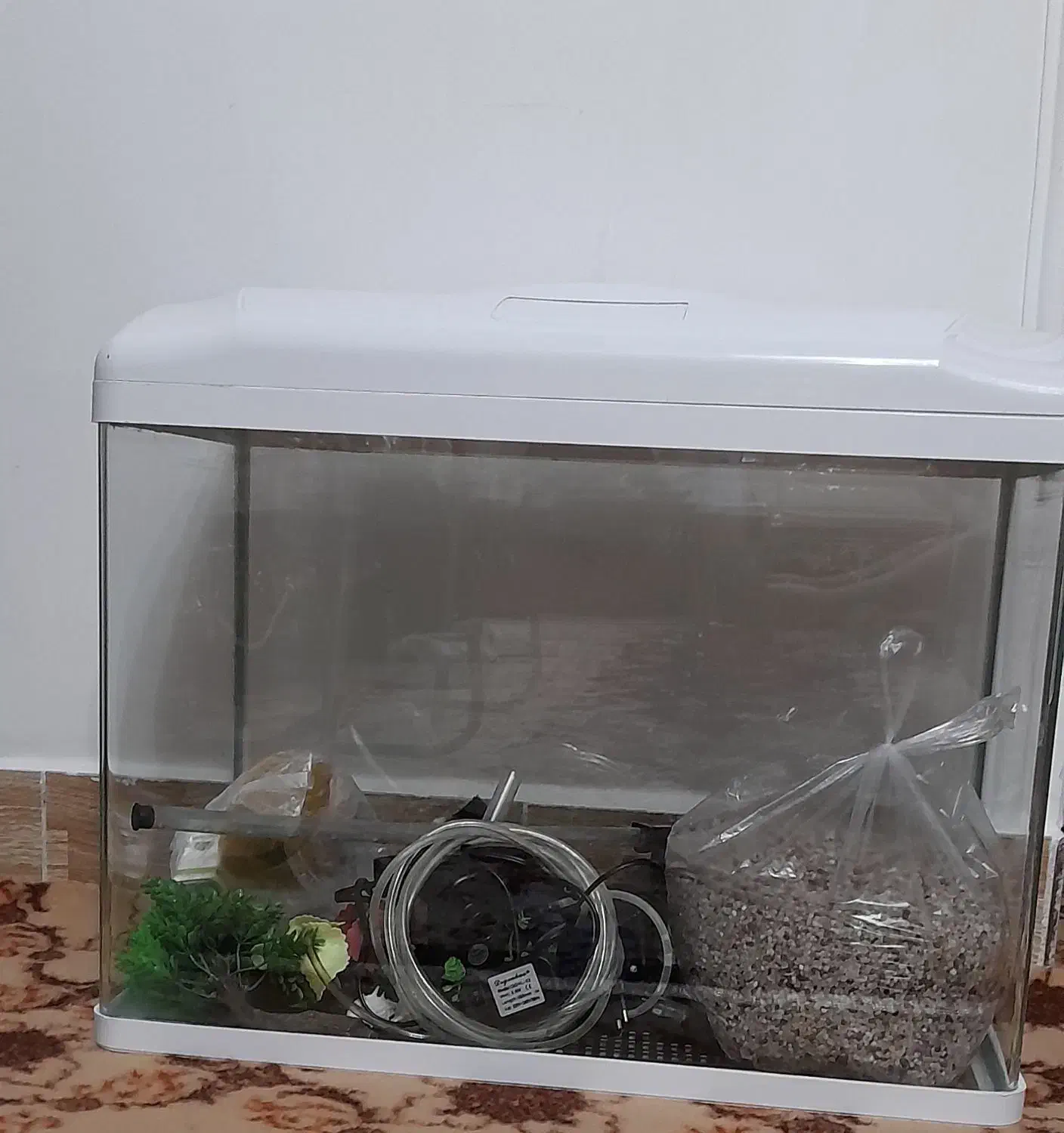 آکواریوم شرکتی|ماهی|مراغه, |دیوار