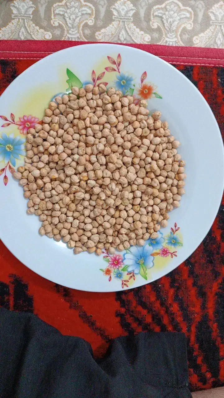 نخود فلافلی|حراج|گتوند, |دیوار