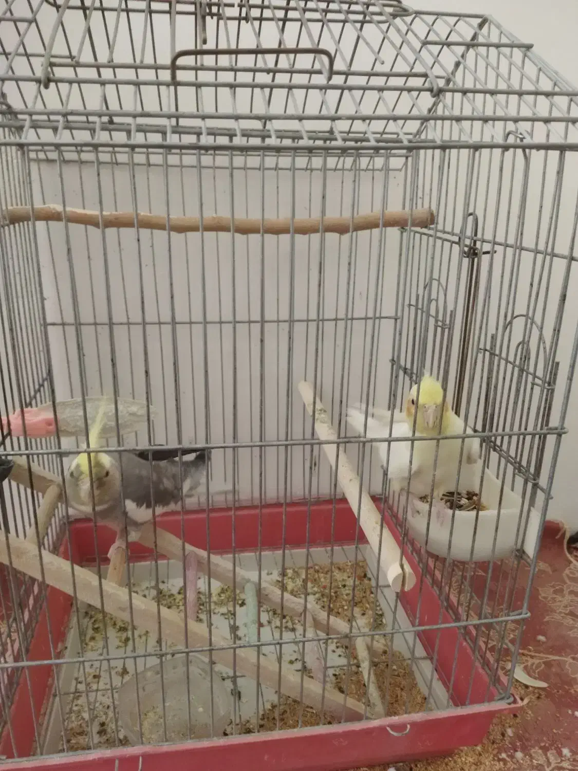 وسایل شخصی کودک|اسباب و اثاث بچه|ملایر, |دیوار