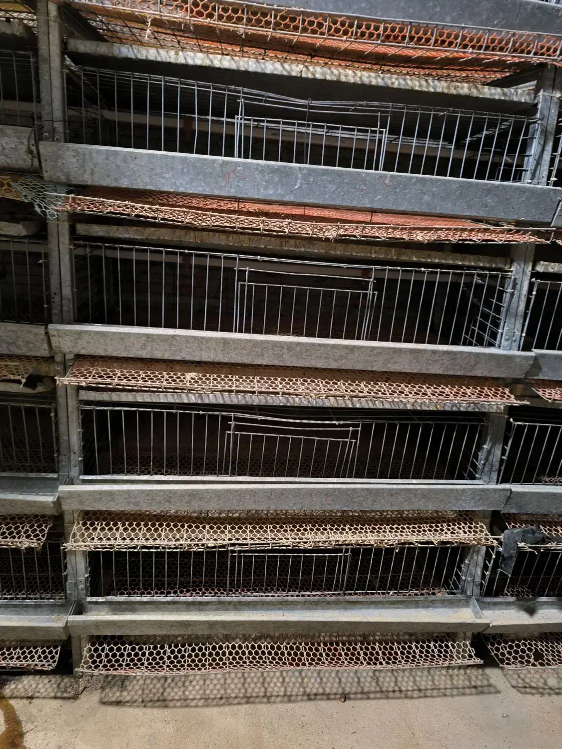 قفس بلدرچین|لوازم جانبی حیوانات|سعدآباد, |دیوار