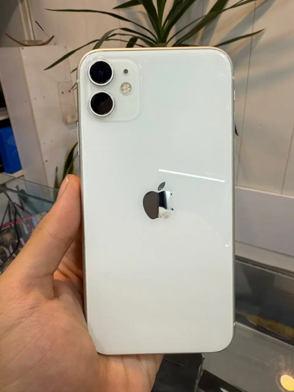 آیفون ۱۱ نرمال ۱۲۸ گیگابایت دو سیمکارت|موبایل|کرج, گوهردشت|دیوار