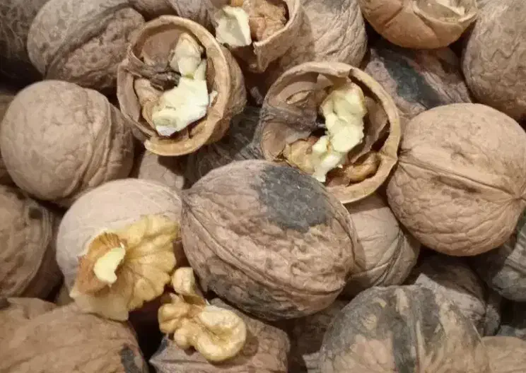 فروش گردو محلی|حراج|کرمان, |دیوار