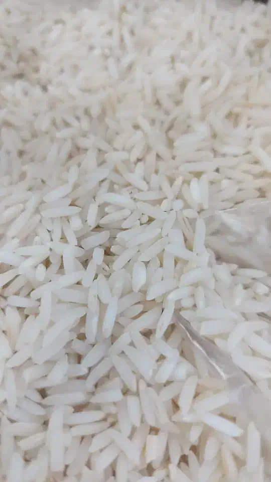 برنج اعلا هاشمی|خوردنی و آشامیدنی|رشت, ولکس|دیوار