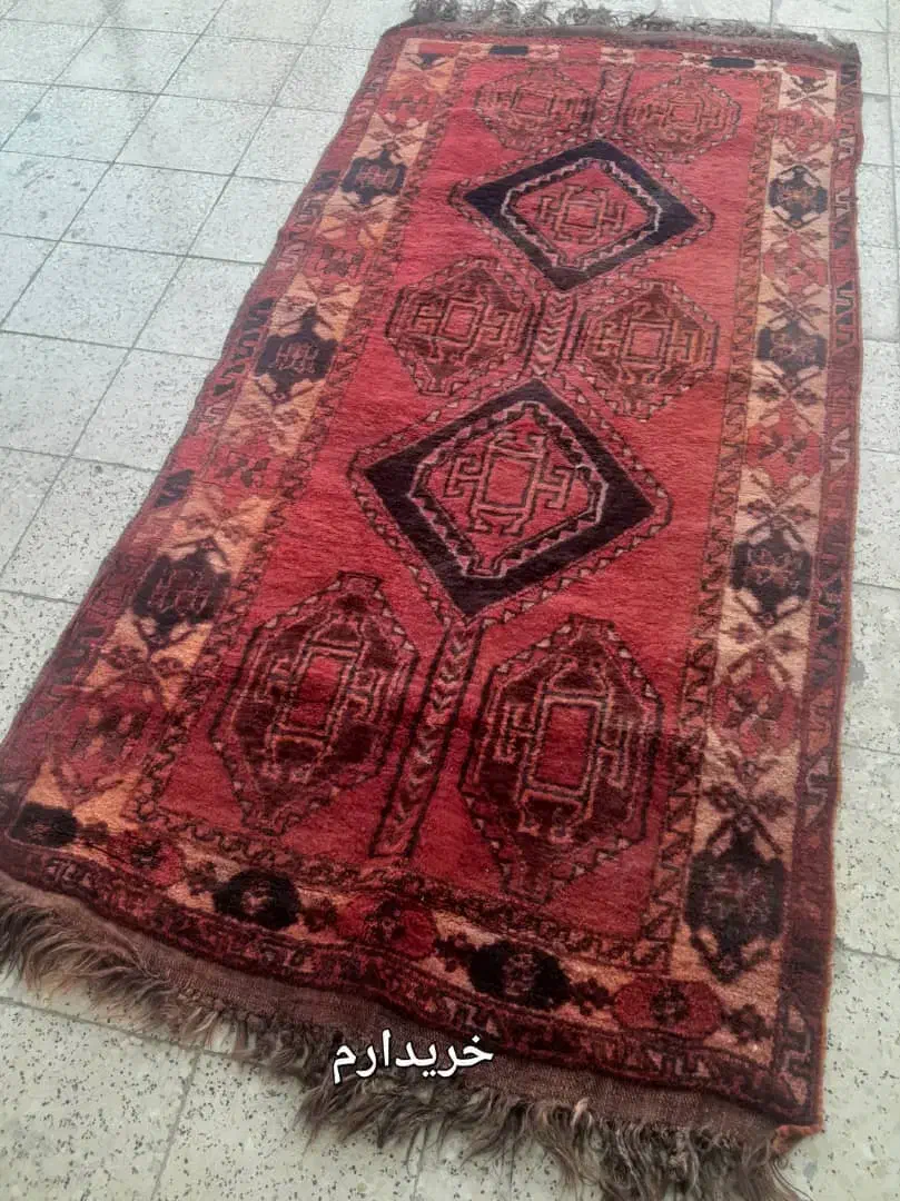 قالی محلی قدیمی|فرش|دوگنبدان, |دیوار