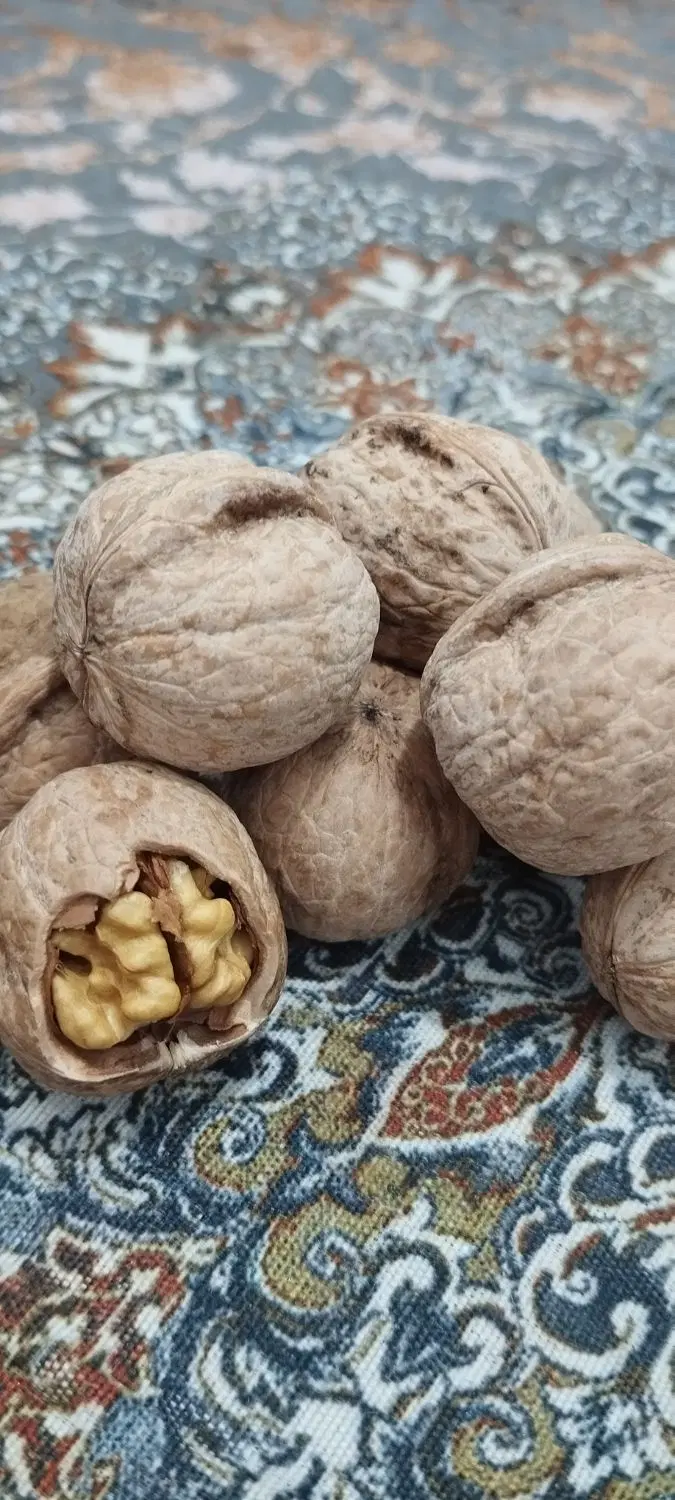گردو|گل و گیاه طبیعی|یاسوج, |دیوار