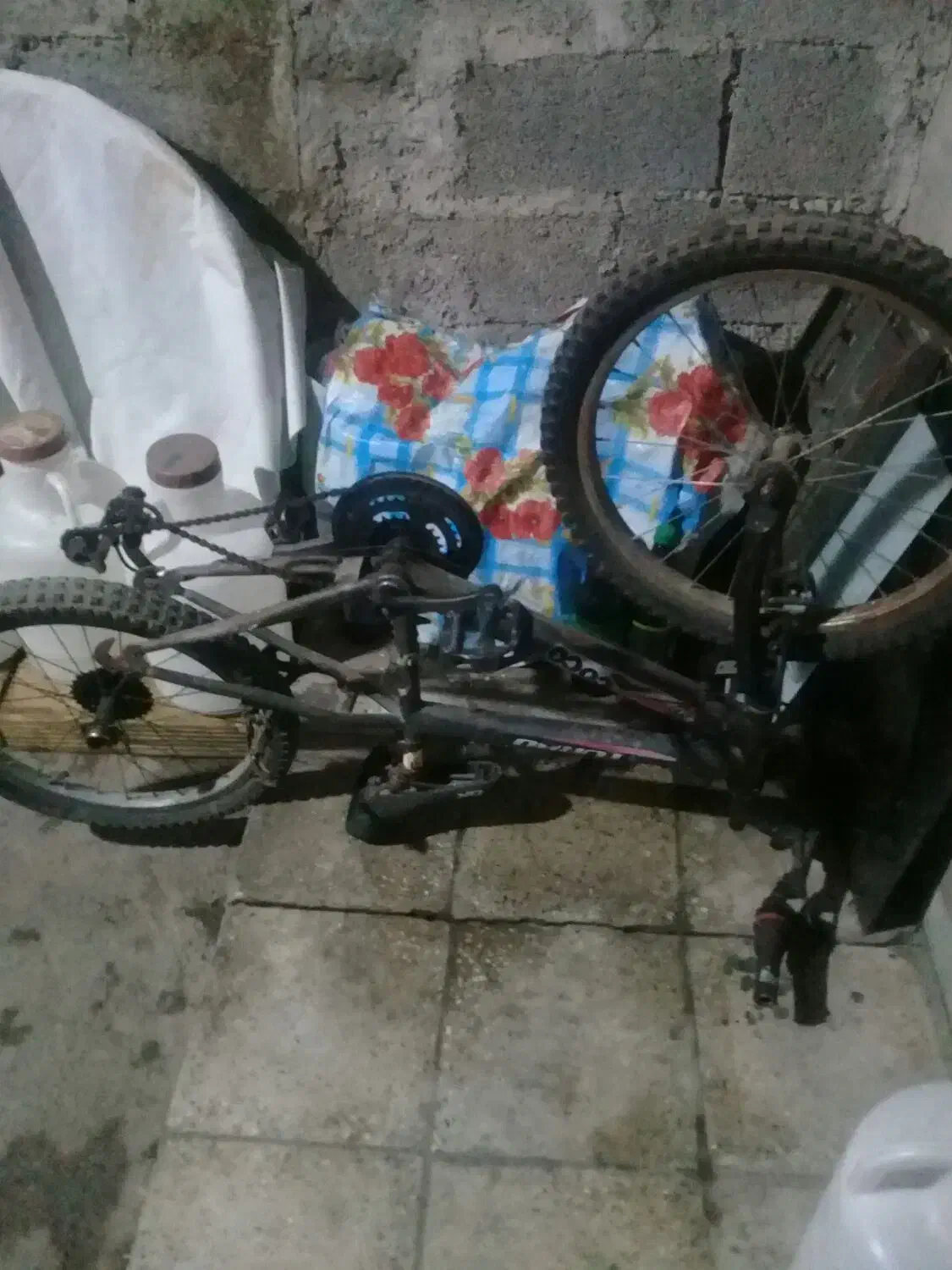 سلام یک دستگاه دوچرخه دندهای بفروش میرشد|دوچرخه، اسکیت، اسکوتر|رشت, بیجارپس|دیوار