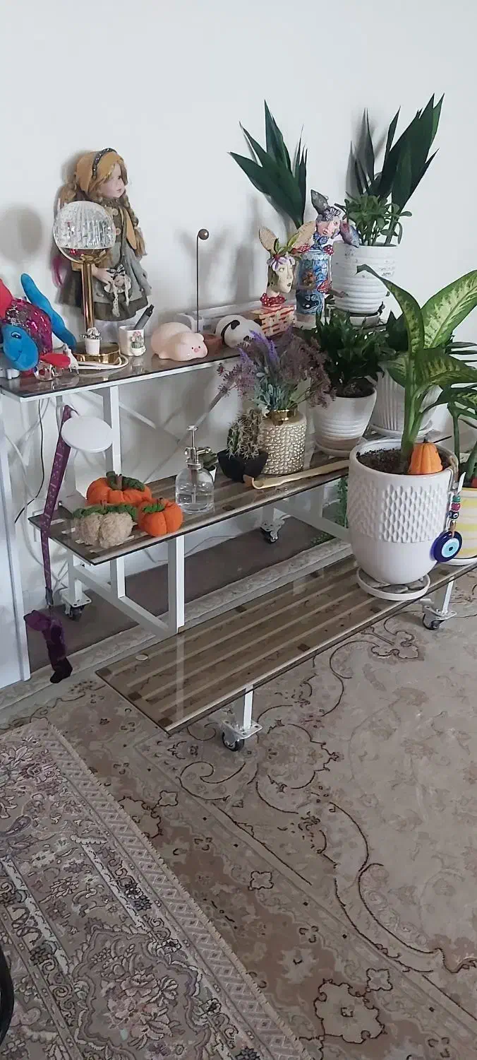 شلف زمینی آهنی|کتابخانه، شلف، قفسههای دیواری|اسلامشهر, شهرک واوان|دیوار