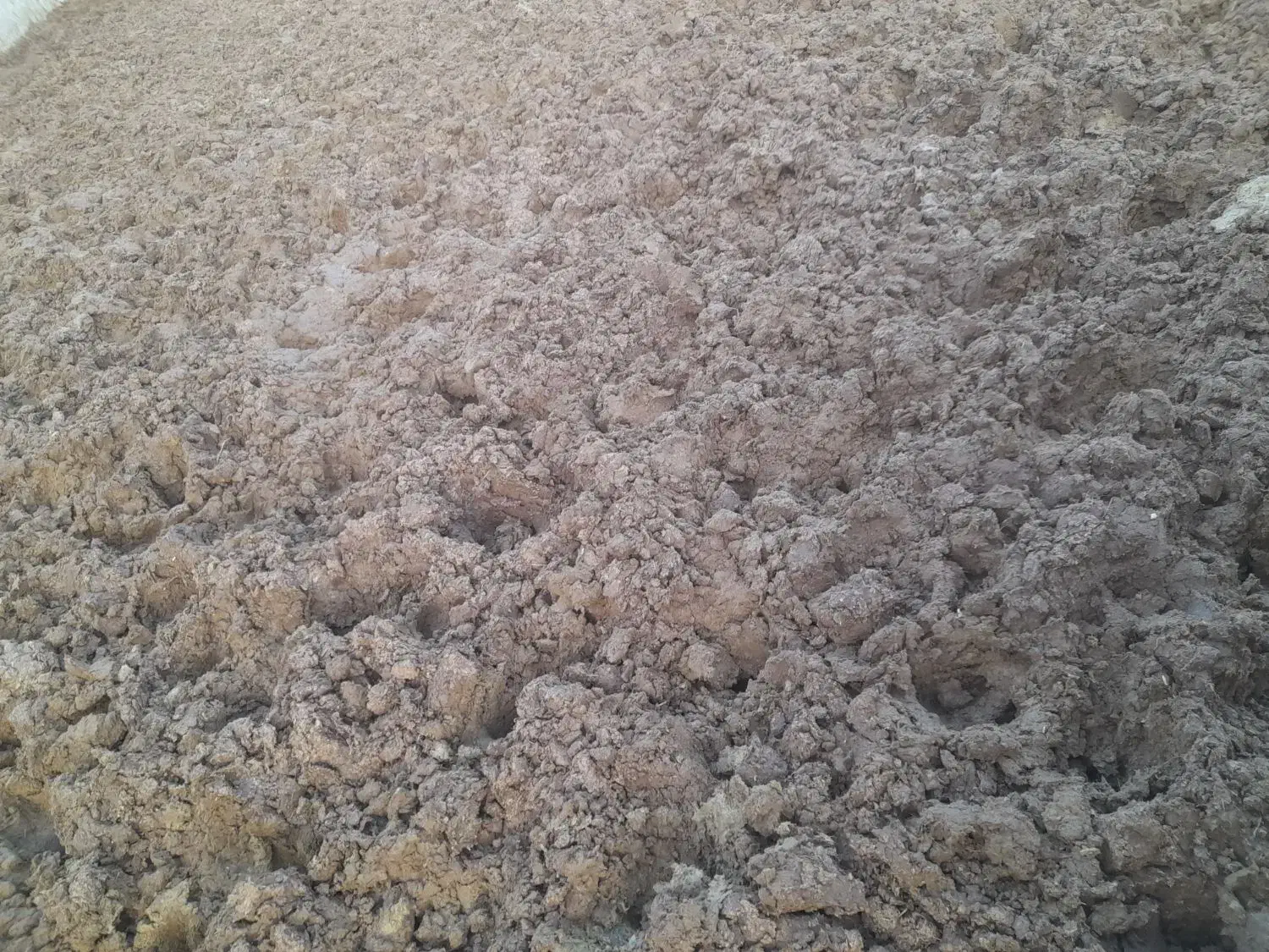 کودگاوی|خدمات باغبانی و درختکاری|بروجرد, |دیوار