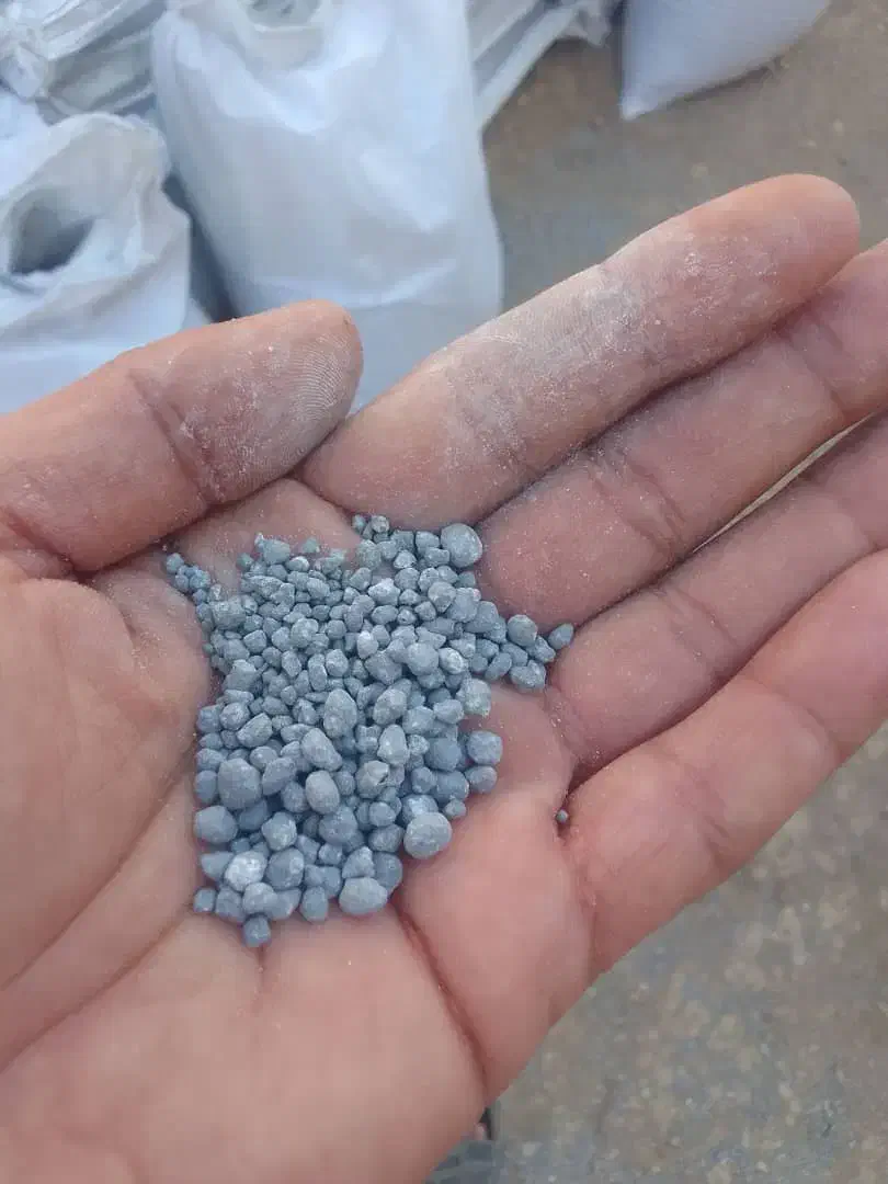 خرید بذر چغندر و کود شیمیایی|فعالیت داوطلبانه تحقیقاتی|خزل, |دیوار