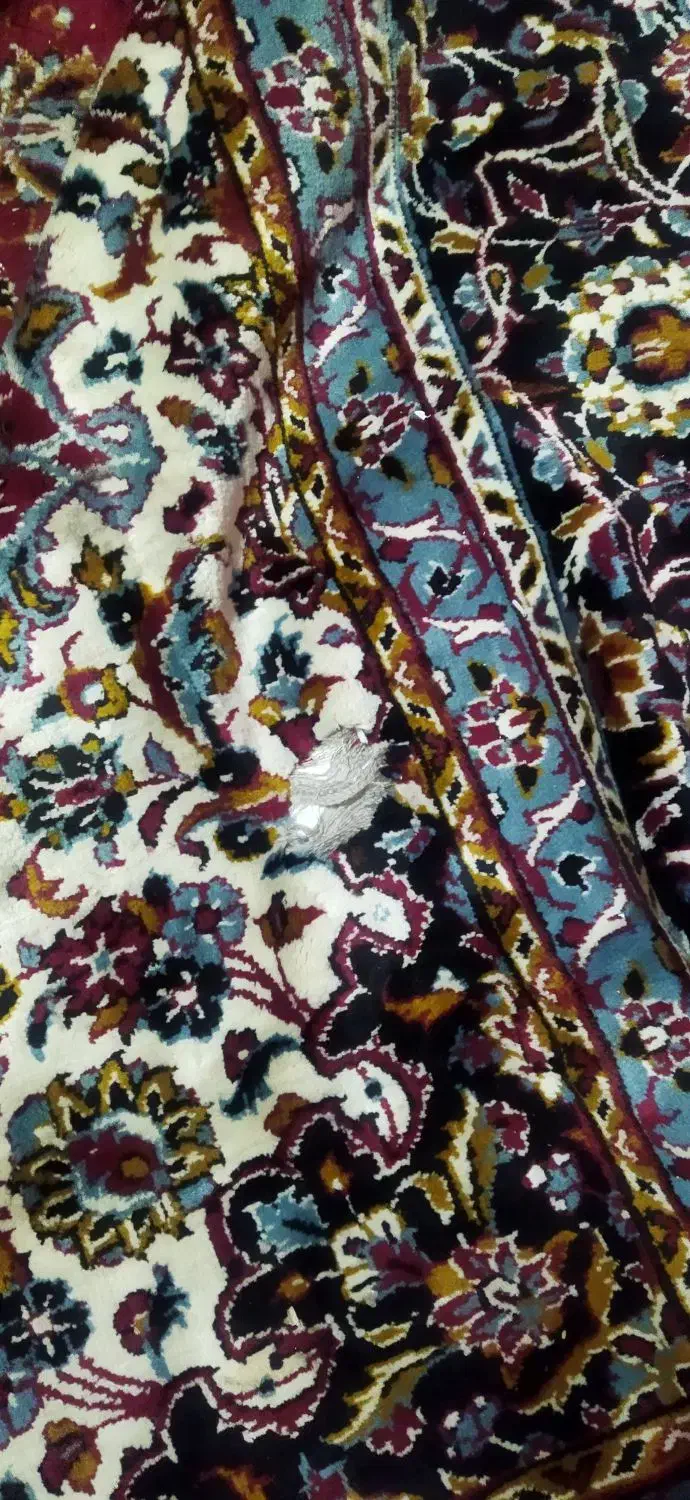 فرش ۱۲ متری|فرش|گلبهار, شهر جدید گلبهار|دیوار