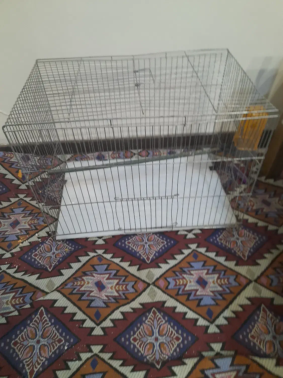 قفس سهره قناری عروس هلندی قفس|لوازم جانبی حیوانات|پردیس, فاز ۳|دیوار