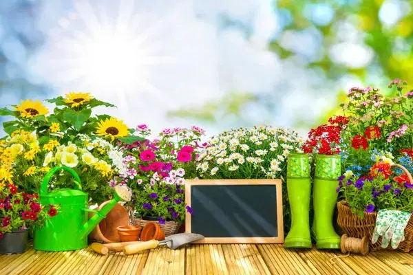 سرکارگری|خدمات باغبانی و درختکاری|سنقر, |دیوار