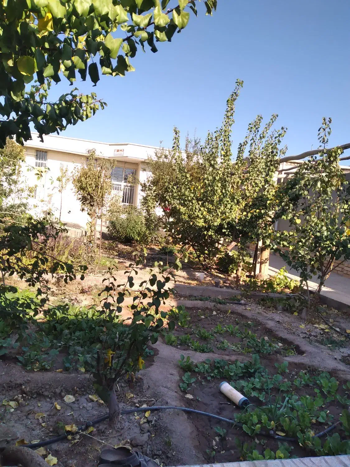 فروش منزل ویلایی بازسازی شده در شهر راین|فروش خانه و ویلا|راین, |دیوار