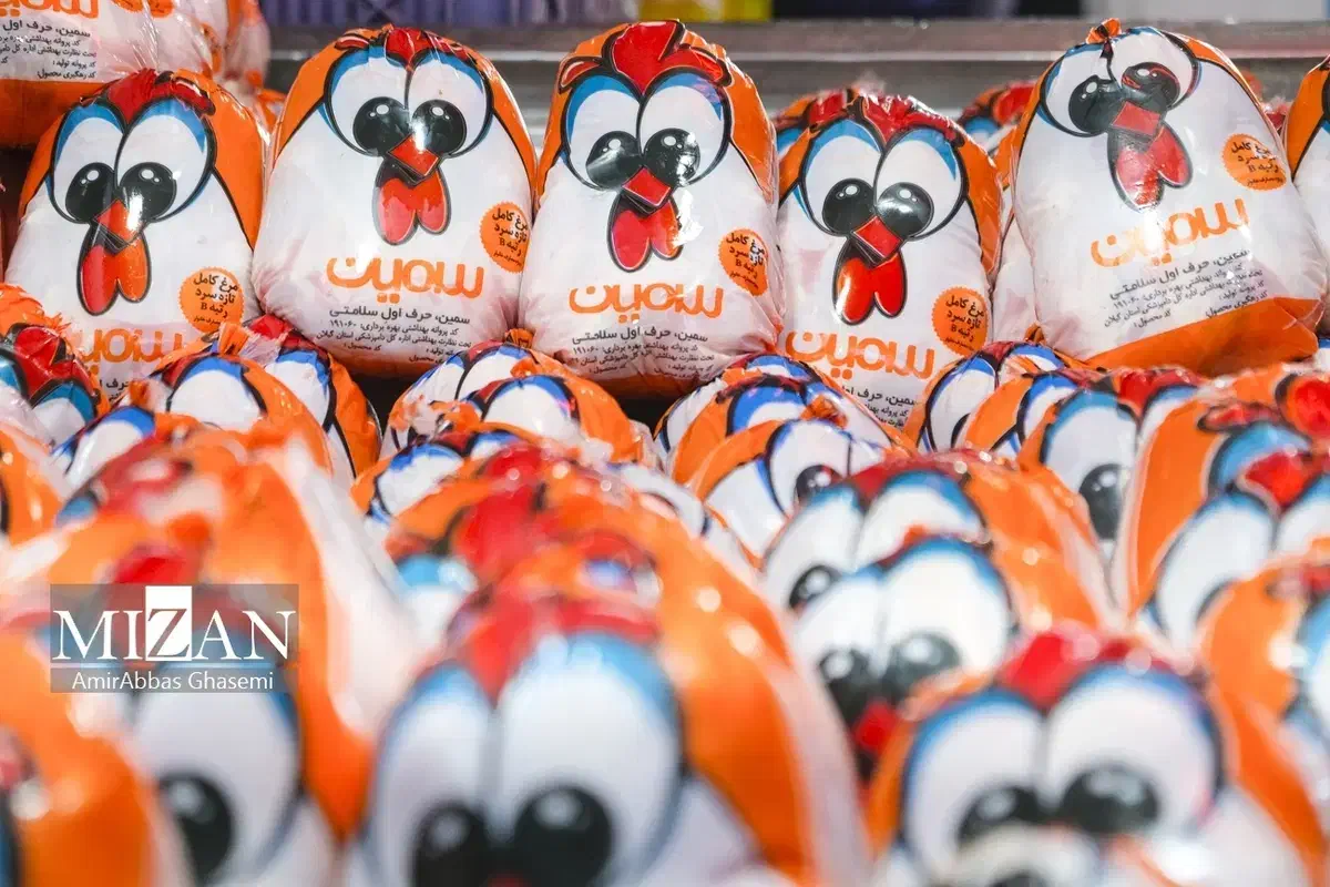 فروش ویژه مرغ سمین|خوردنی و آشامیدنی|کرج, شهرک نهال و بذر|دیوار