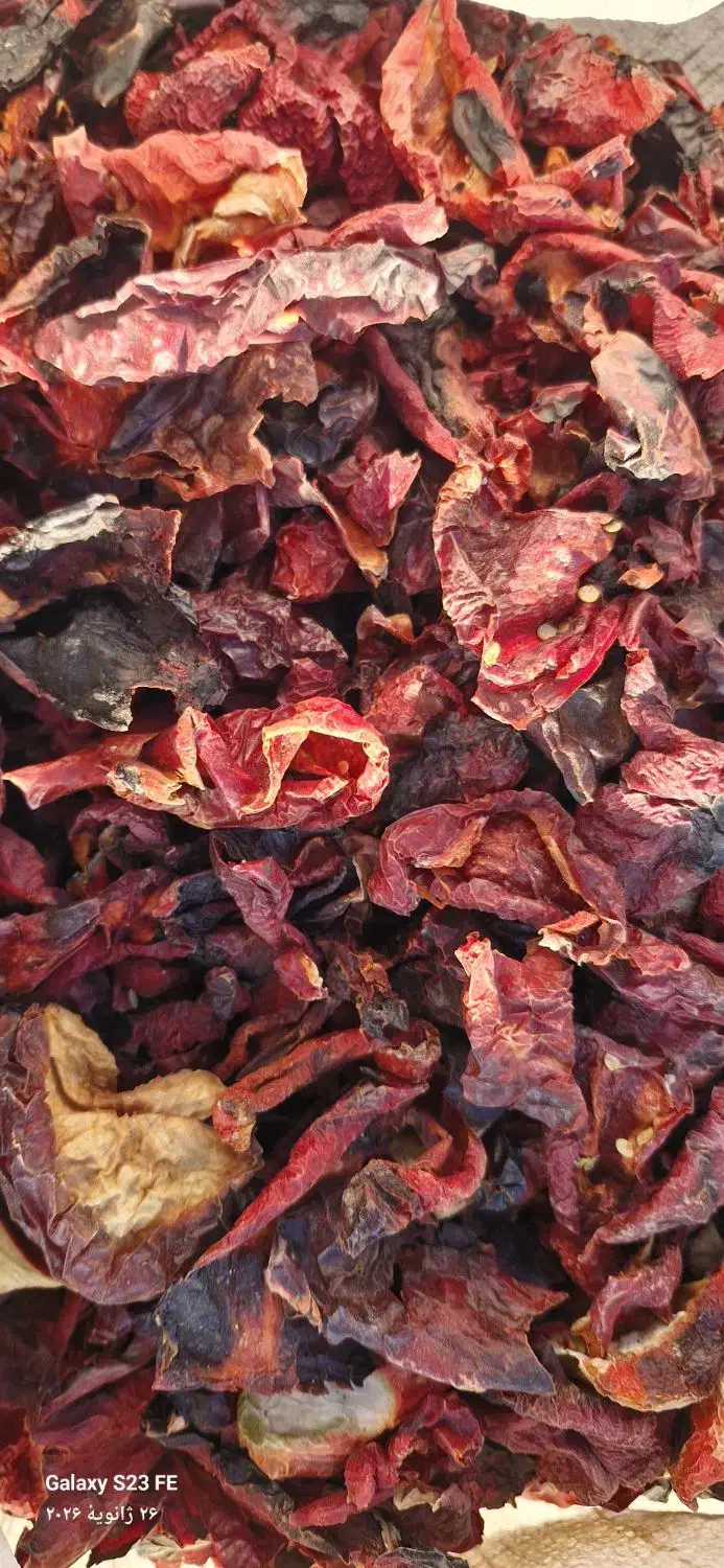 فلفل پاپریکا|خوردنی و آشامیدنی|مشهد, دانشجو|دیوار