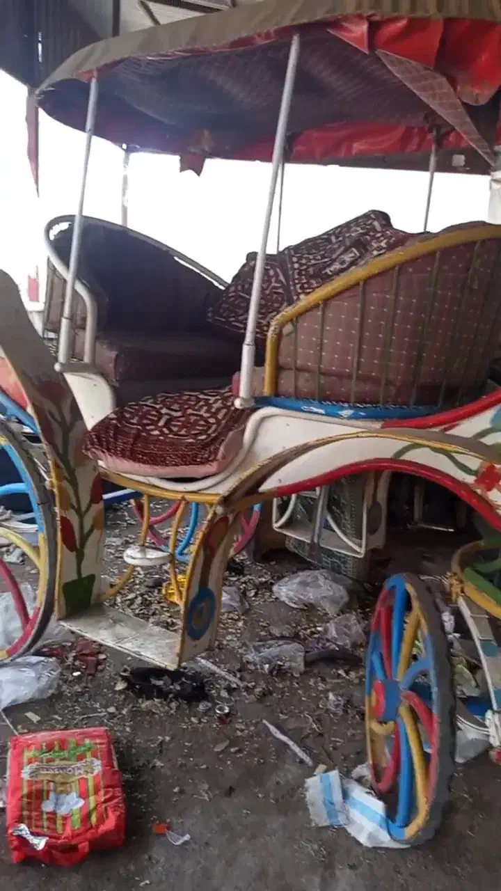 کالسکه در حد با افسار ویراقالات|کالسکه و لوازم جانبی|نیر (اردبیل), |دیوار