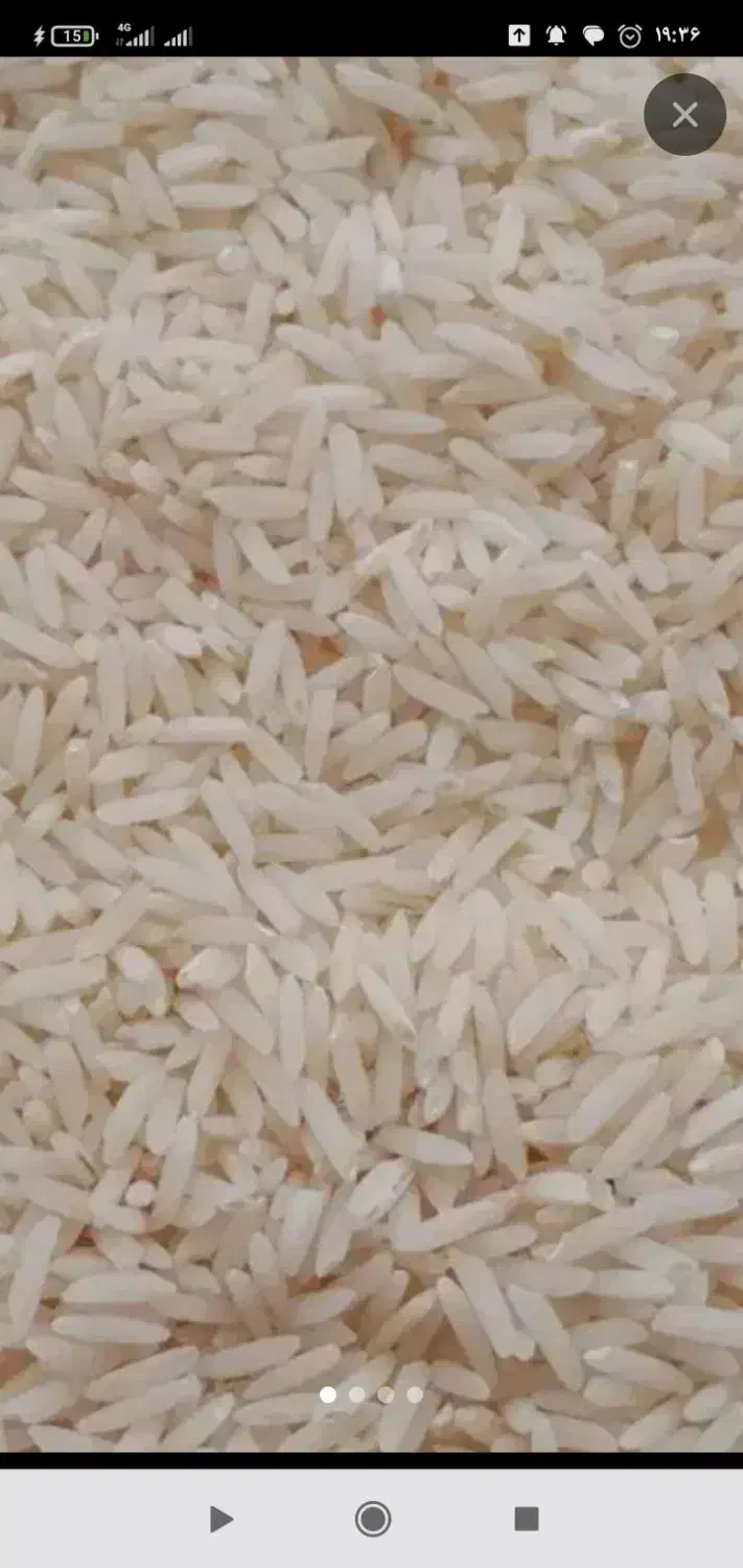 برنج هاشمی|خوردنی و آشامیدنی|کلاچای, |دیوار