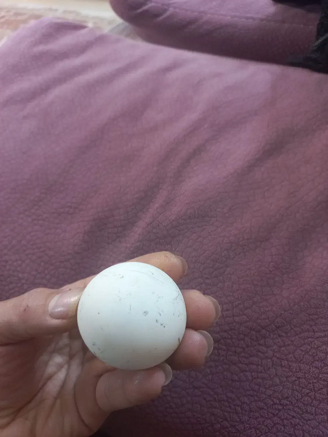 سنگ اسیاب|کلکسیون اشیاء عتیقه|مشهد, بهمن|دیوار