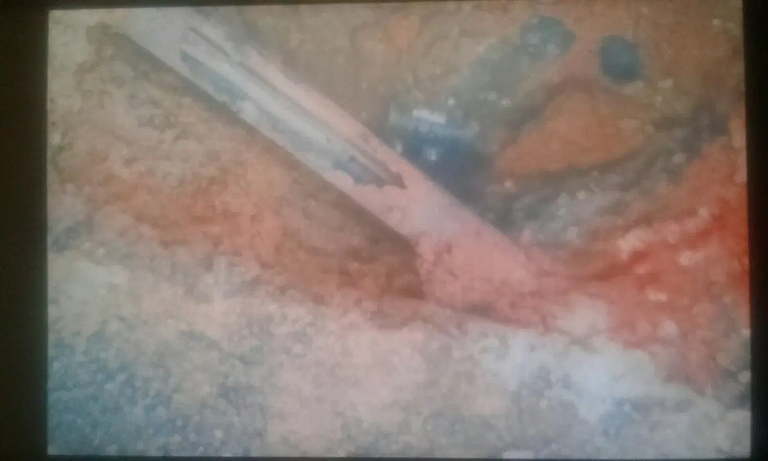 نشت یابی رفع نمزدگی رطوبت بدون خرابی لوله بازکن|خدمات پیشه و مهارت|نیشابور, ابراهیمی|دیوار