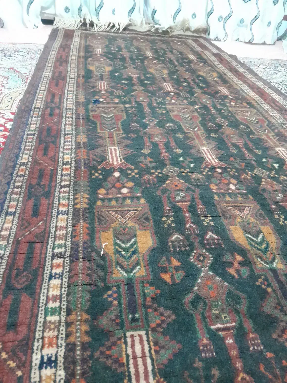 فرش دستباف اصیل زابلی|فرش|زابل, |دیوار