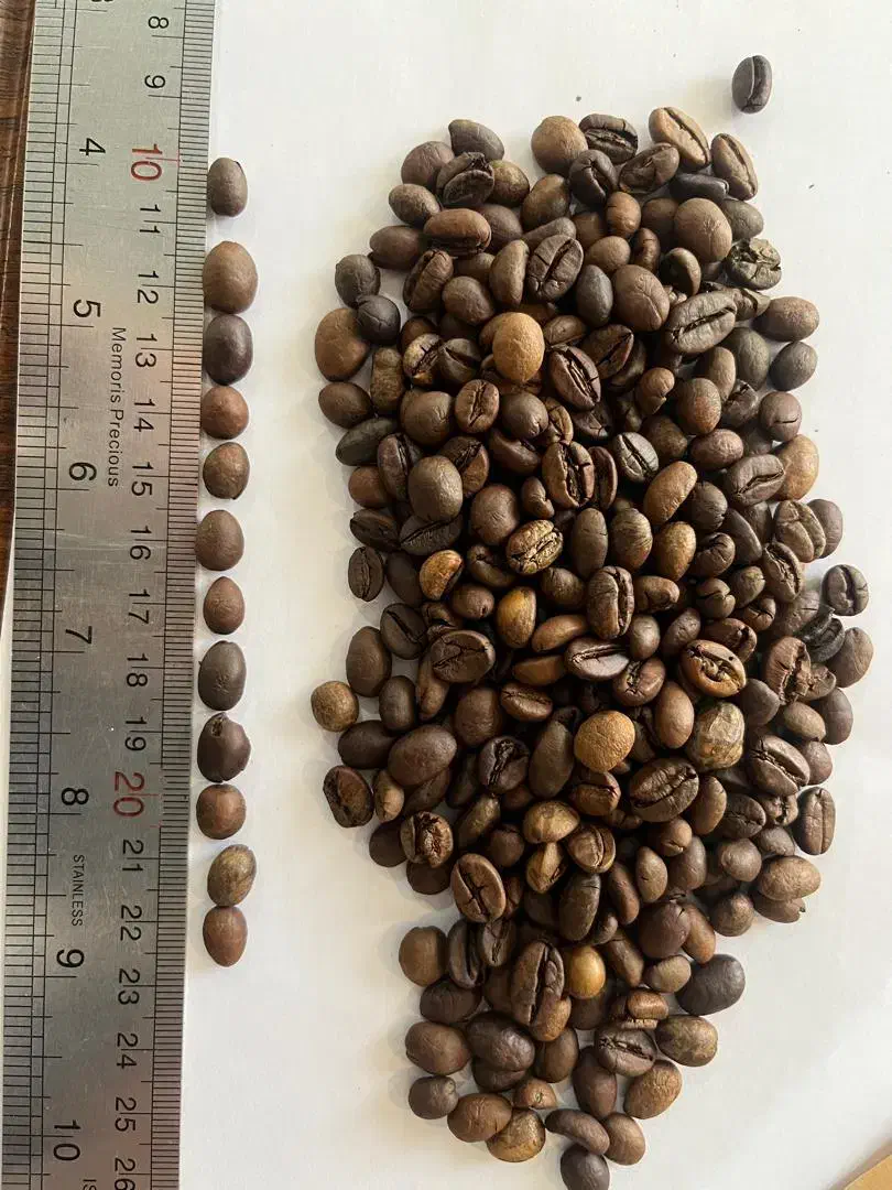 قهوه تازه رست شده|کافی‌شاپ و رستوران|بندر انزلی, ژاندارمری|دیوار