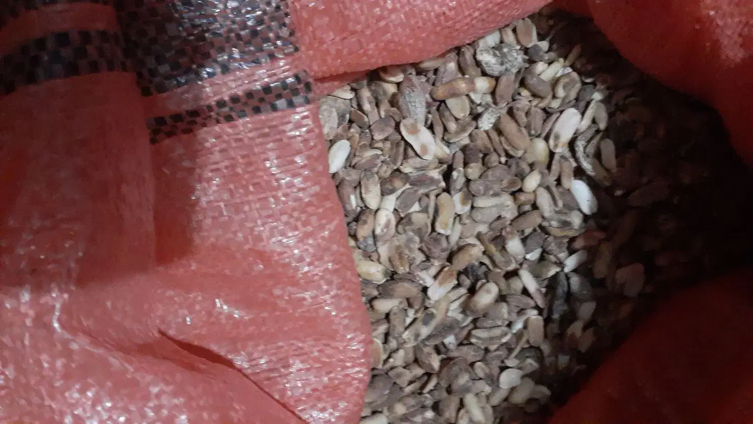 بادام برای خوراک مرغ و جوجه|عمده‌فروشی|آستانه اشرفیه, |دیوار