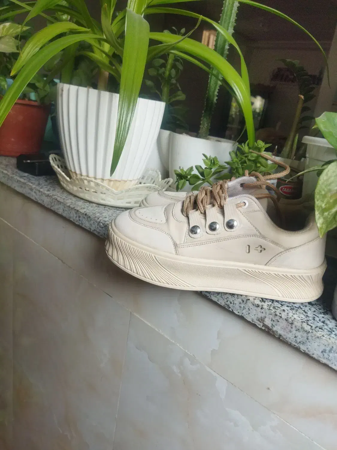 کفش|کیف، کفش، کمربند|لردگان, |دیوار