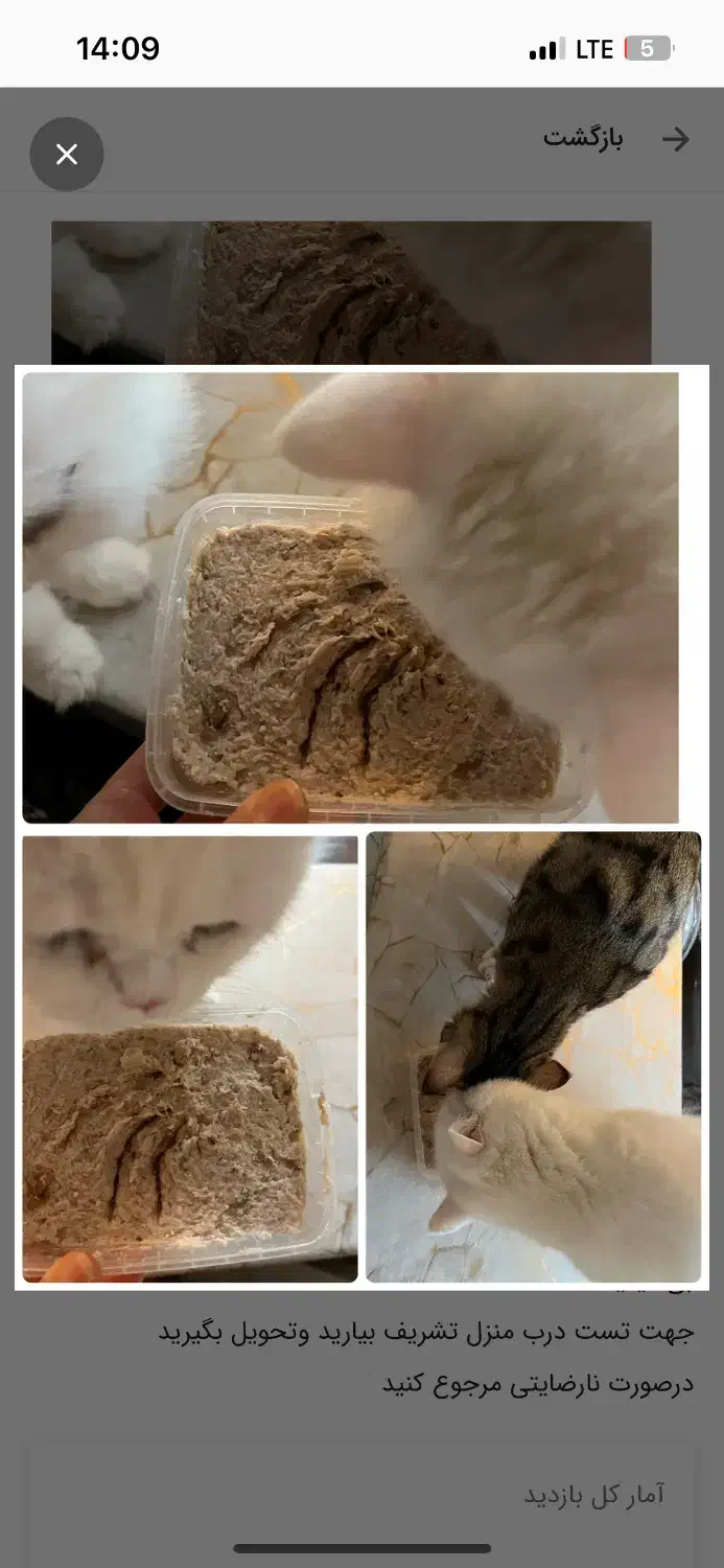 غذای خونگی خوشمزه و مقوی گربه و سگ|لوازم جانبی حیوانات|مشهد, شریف|دیوار