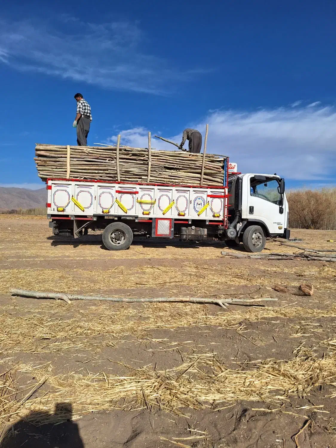 باربری و چوب مجوز دار|خدمات حمل و نقل|الشتر, |دیوار