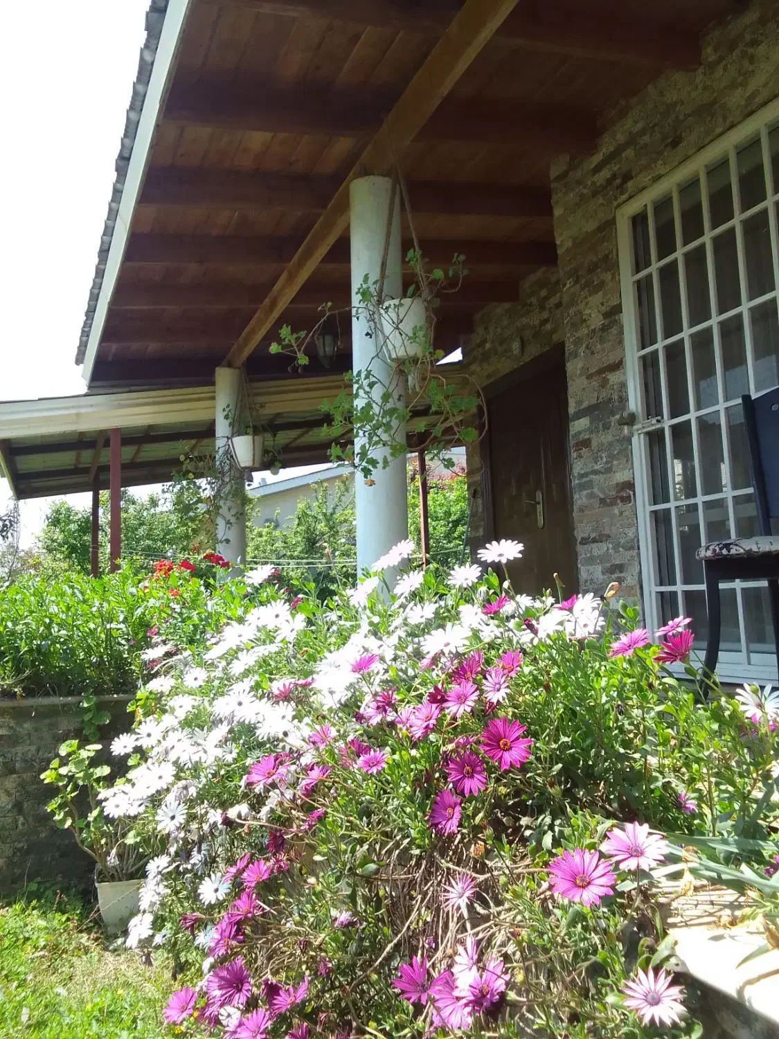 ویلا باغ دربست دنج و آرام|اجارهٔ کوتاه‌مدت ویلا و باغ|نشتارود, |دیوار