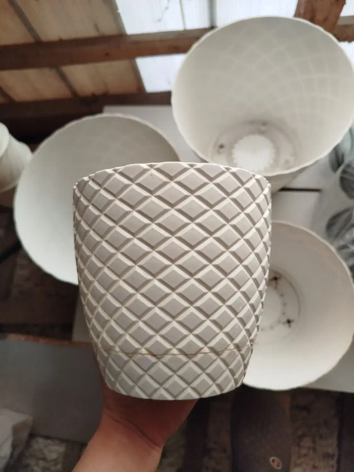 گلدون سفید|گل و گیاه طبیعی|خشکبیجار, |دیوار